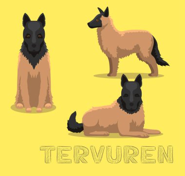 Köpek Tervuren Çizgi Film Vektör İllüstrasyonu