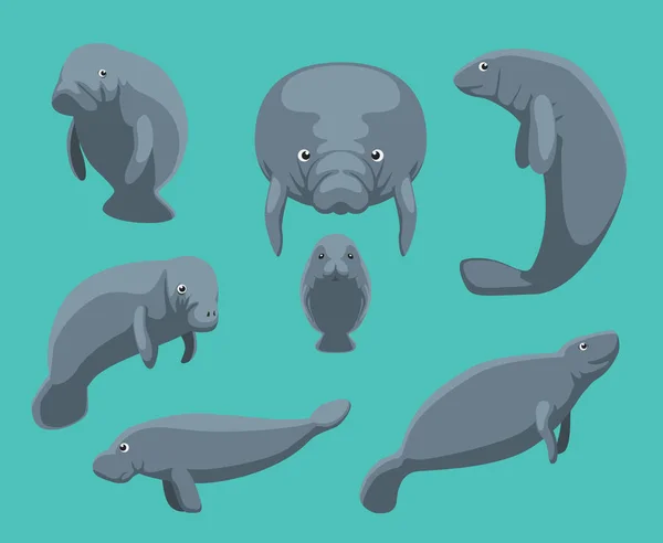 Manatee Seven Poses Set Vector Illustration — Stock Vector