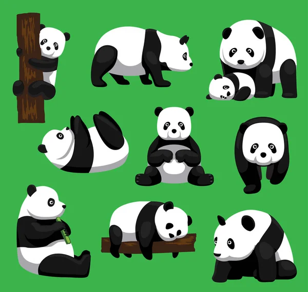 Panda Bear Nine Poses Cartoon Vector Illustration — 스톡 벡터