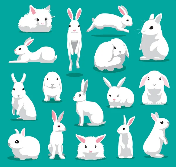 Niedliches Weißes Kaninchen Posiert Mit Cartoon Vector Illustration — Stockvektor