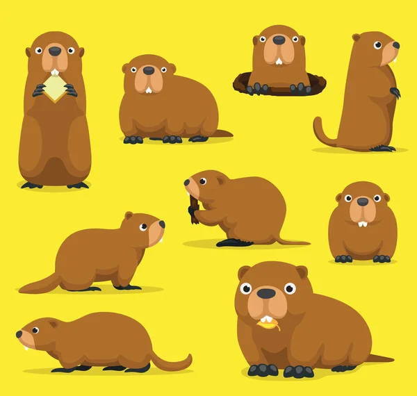 Groundhog Chuck Woodchuck Groundpig Whistlepig Cute Cartoon Vector Ilustração —  Vetores de Stock