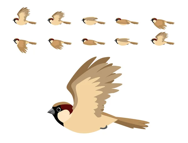 Casa Sparrow Voando Animação Bonito Cartoon Vector Ilustração — Vetor de Stock