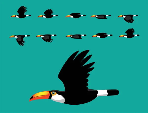 Toco Toucan Flying Animation Illustration Vectorielle Dessin Animé Mignon — Image vectorielle