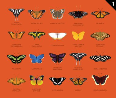 US Butterfly Species Name Set 1 clipart
