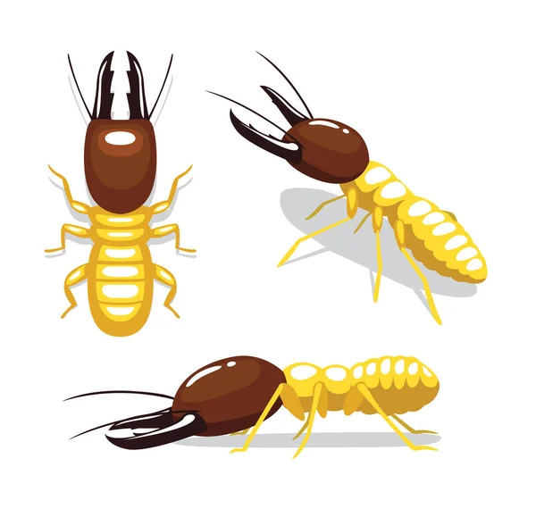 Termite Cartoon Poses Vector Illustration — Vector de stoc