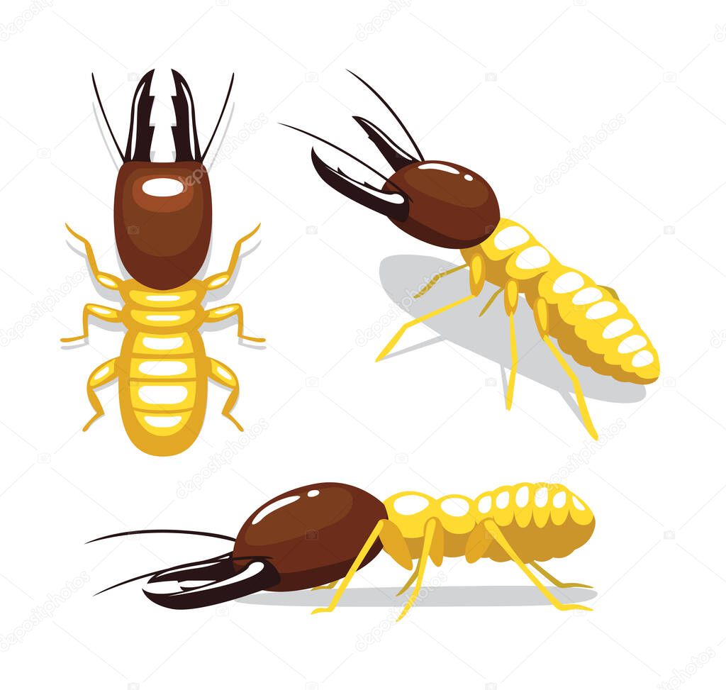Termite Cartoon Poses Vector Illustration