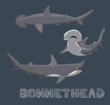 Bonnethead Shark Çizgi Film Vektörü İllüstrasyonu