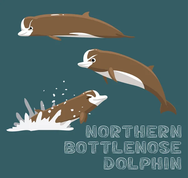 Ilustración Vectores Dibujos Animados Delfines Nariz Botella Del Norte — Vector de stock