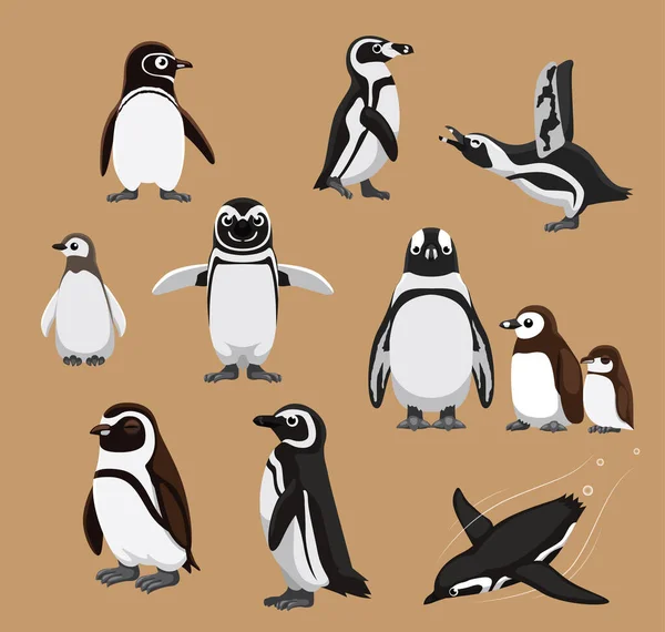 Söt Banded Afrikansk Penguin Familj Tecknad Vektor Illustration — Stock vektor