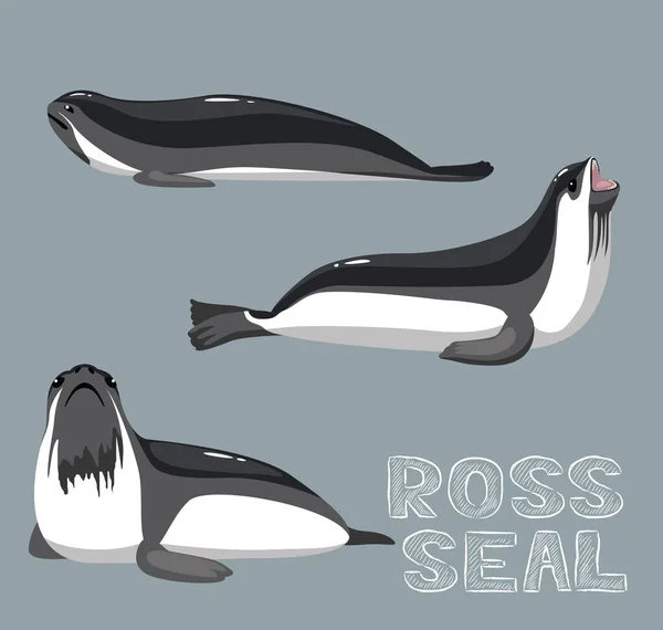 Ross Seal Cartoon Vector Ilustração — Vetor de Stock