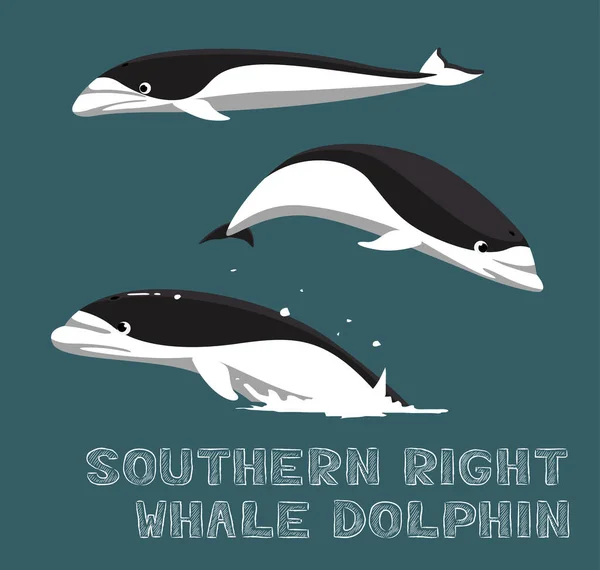 ภาพวาดเวกเตอร การ นวาฬ ดอลฟ นทางท ศใต — ภาพเวกเตอร์สต็อก
