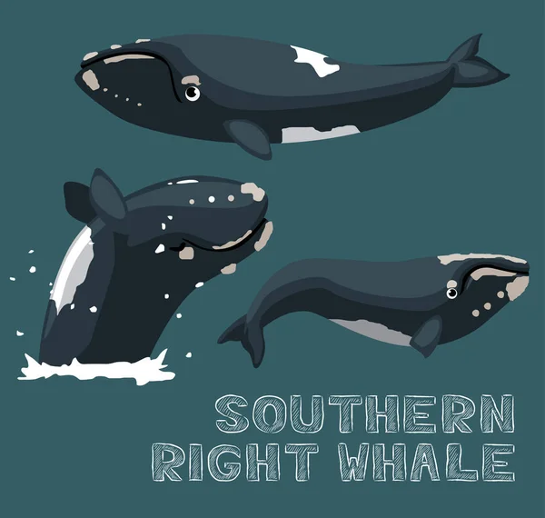 Illustration Vectorielle Dessin Animé Baleine Noire Sud — Image vectorielle