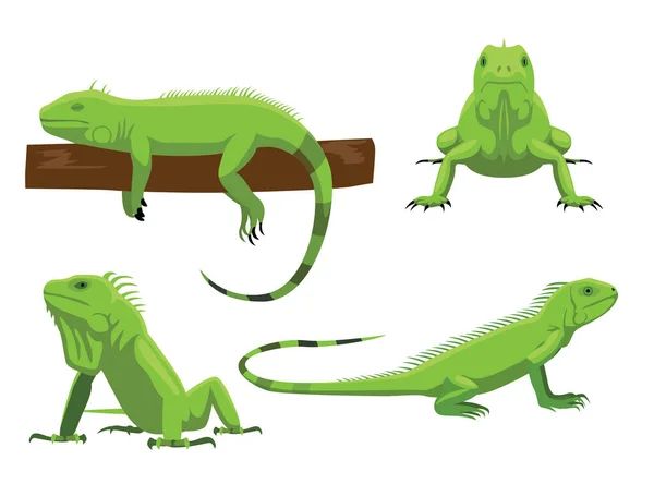 Cute Zielony Iguana Stwarza Ilustracji Wektor Kreskówek — Wektor stockowy