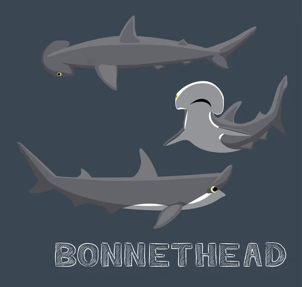 Bonnethead Tubarão Cartoon Vector Ilustração — Vetor de Stock