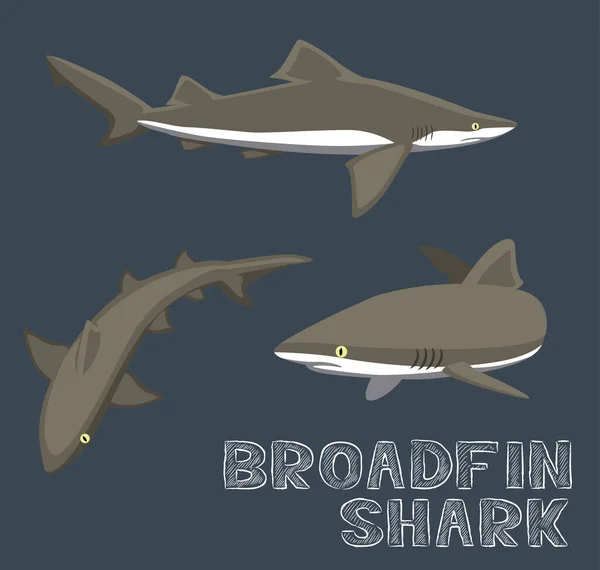 Broadfin Cápa Rajzfilm Vektor Illusztráció — Stock Vector