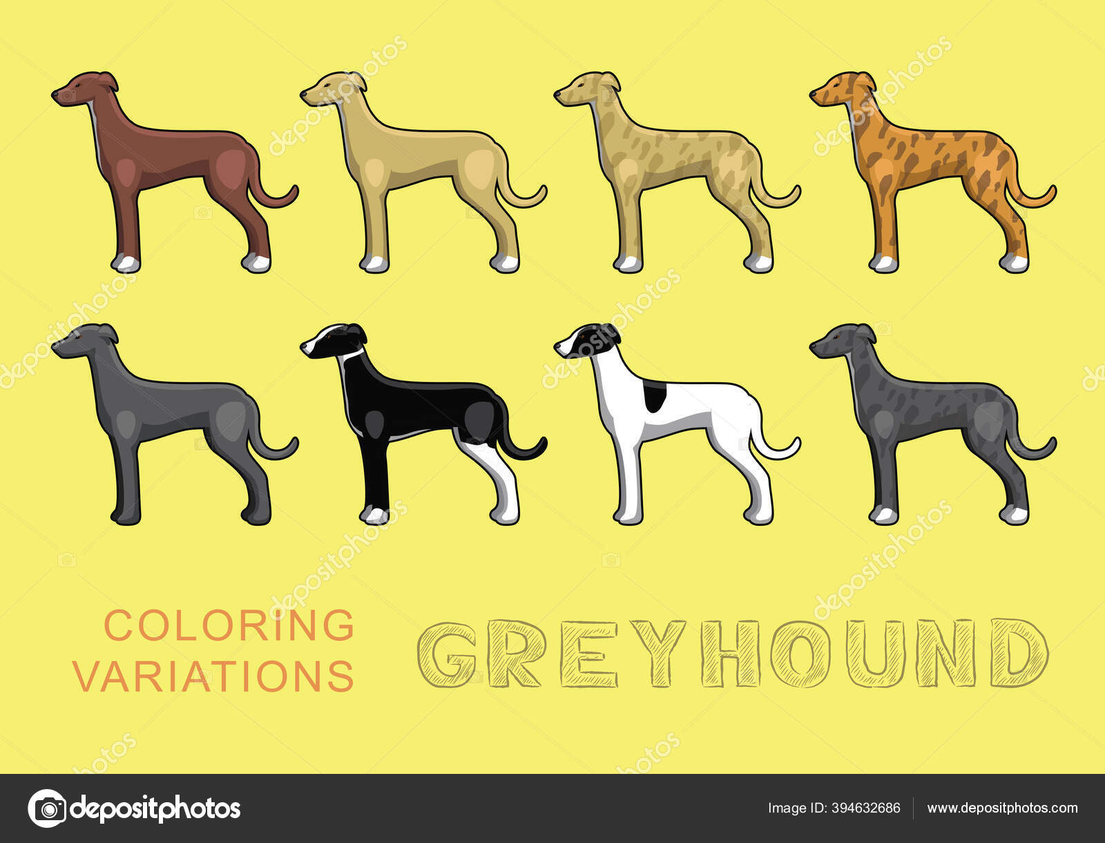 Dog Greyhound Coloring Variations Vector Illustration Stock Vector by