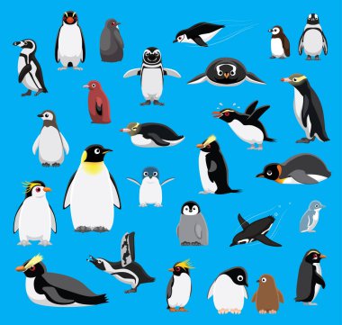 Various Penguin Cartoon Blue Background Vector Illustration clipart