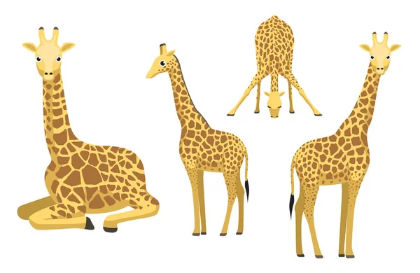 Niedliche Giraffe Sitzt Cartoon Vector Illustration — Stockvektor