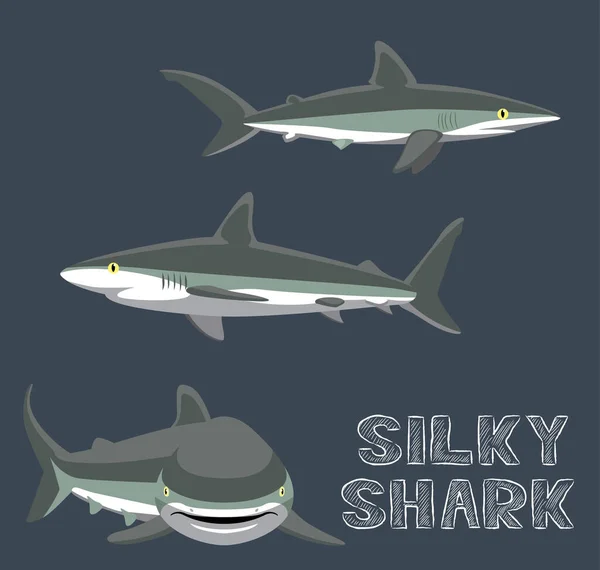 Silky Shark การ นเวกเตอร ภาพประกอบ — ภาพเวกเตอร์สต็อก