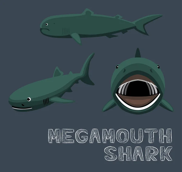 Megamouth Cápa Rajzfilm Vektor Illusztráció — Stock Vector
