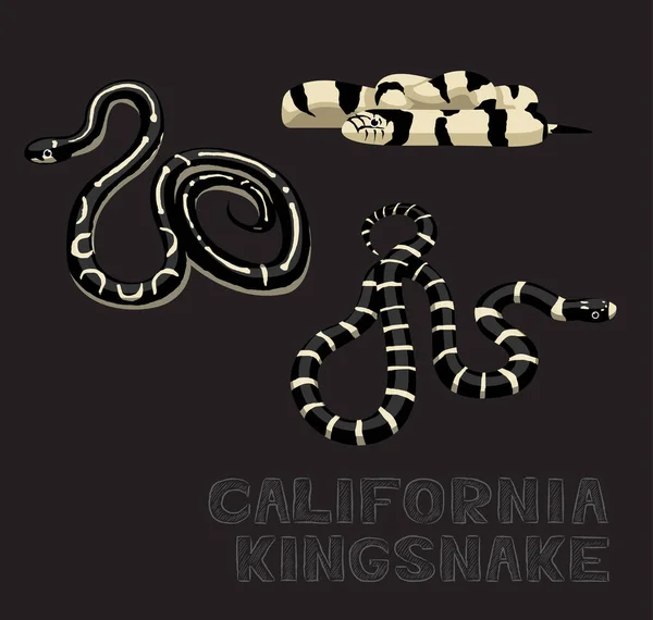 Snake California Kingsnake Cartoon Vector Illustration — Stockový vektor