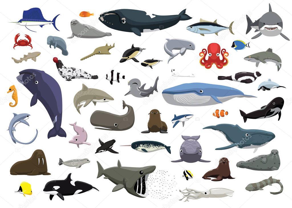 Various Cute Sea Animals Cartoon Vector Illustration