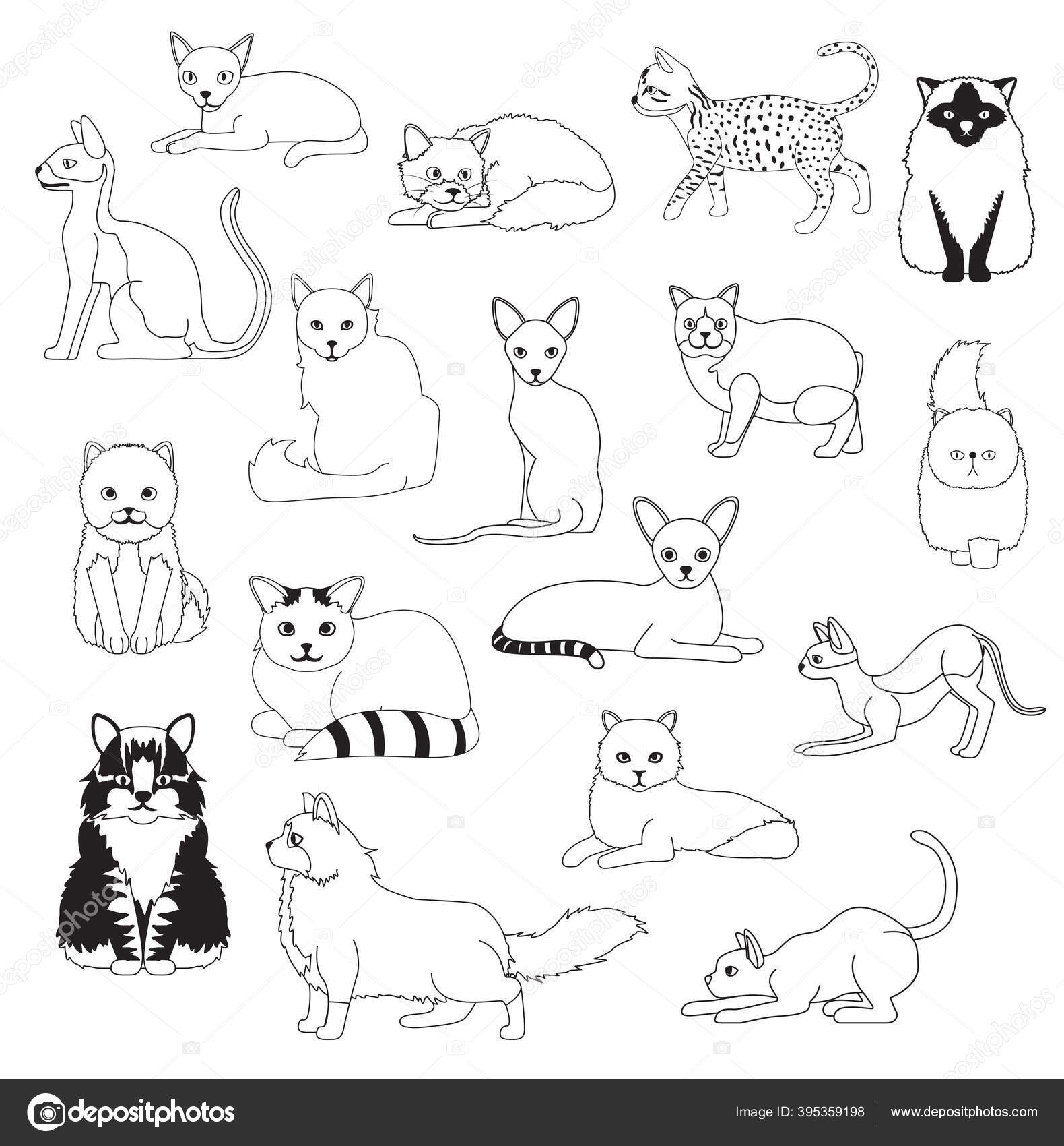 Dormir Chaton Coloriage Livre Images Vectorielles Dormir Chaton Coloriage Livre Vecteurs Libres De Droits Depositphotos Dormir Chaton Coloriage Livre Images Vectorielles Dormir Chaton Coloriage Livre Vecteurs Libres De Droits Depositphotos