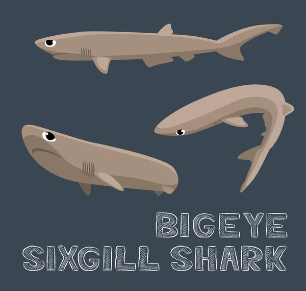 Nagyszem Sixgill Shark Rajzfilm Vektor Illusztráció — Stock Vector