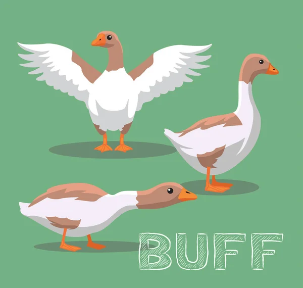 Domestic Goose Buff Cartoon Vector Illustratie — Stockvector