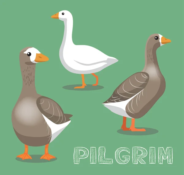 Εγχώρια Χήνα Pilgrim Εικονογράφηση Διάνυσμα Κινουμένων Σχεδίων — Διανυσματικό Αρχείο