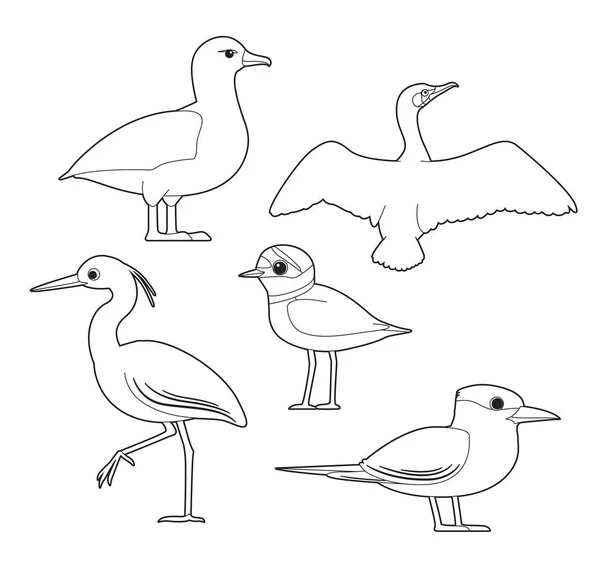 African Bird Coloring Book Albatross Cormorant Egret Plover Tern Cartoon — стоковий вектор