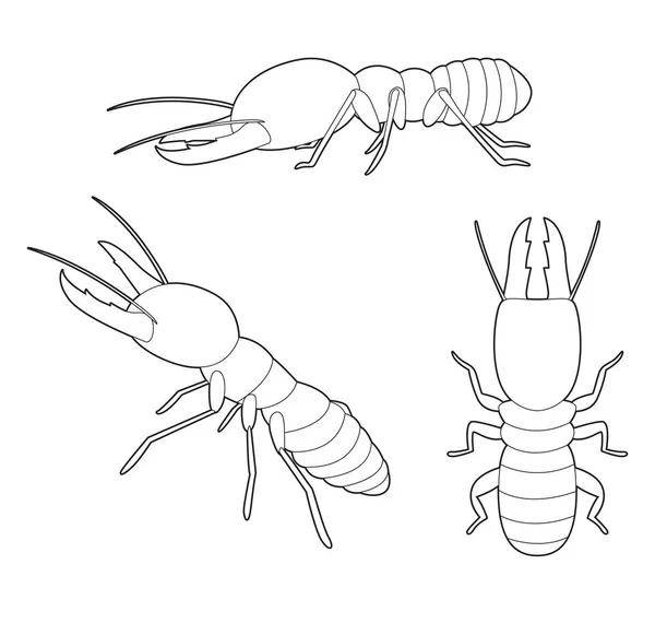 Набор Насекомых Termite Cartoon Vector Coloring Book — стоковый вектор