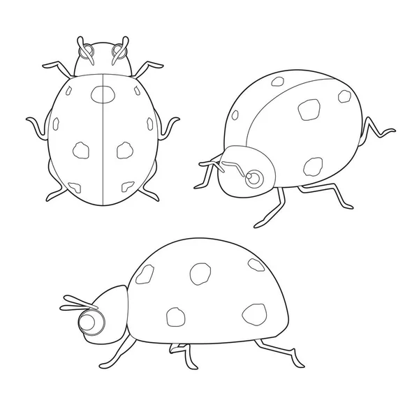 Insect Set Cute Ladybug Cartoon Vector Coloring Book — Stock Vector
