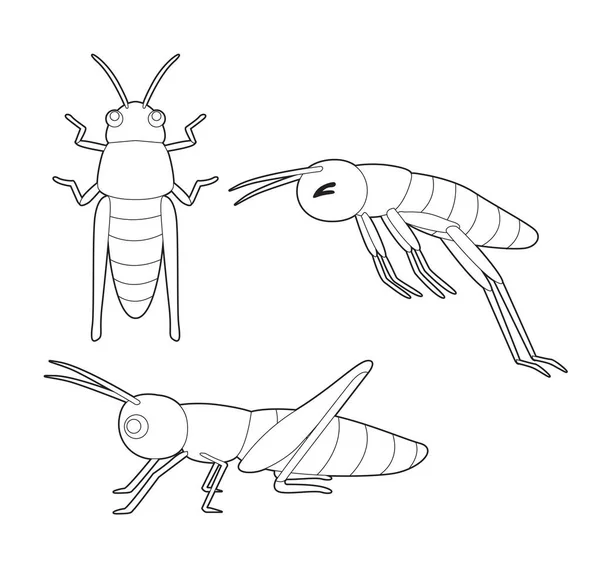 Σύνολο Εντόμων Χαριτωμένο Grasshopper Cartoon Vector Χρωματισμός Βιβλίο — Διανυσματικό Αρχείο