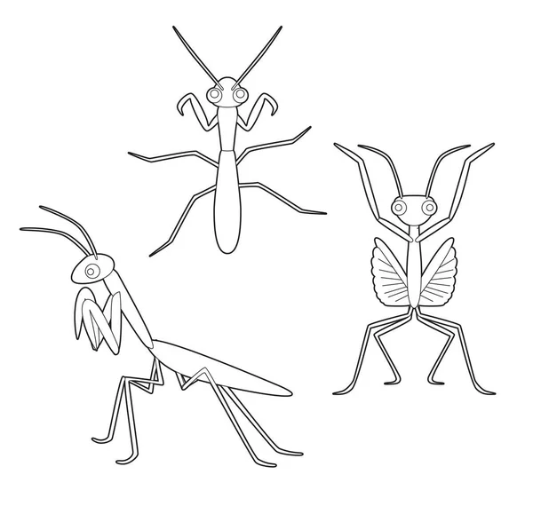 Conjunto Insetos Bonito Mantis Cartoon Vector Coloring Book —  Vetores de Stock