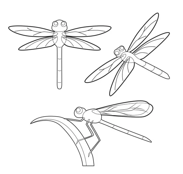 Sada Hmyzu Roztomilé Vážky Karikatura Vektor Zbarvení — Stockový vektor