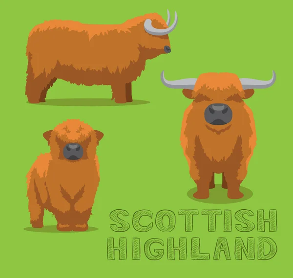 Vaca Escocesa Highland Cartoon Vector Ilustração — Vetor de Stock