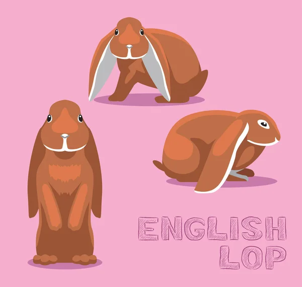 Kaninchen Englisch Lop Cartoon Vector Illustration — Stockvektor