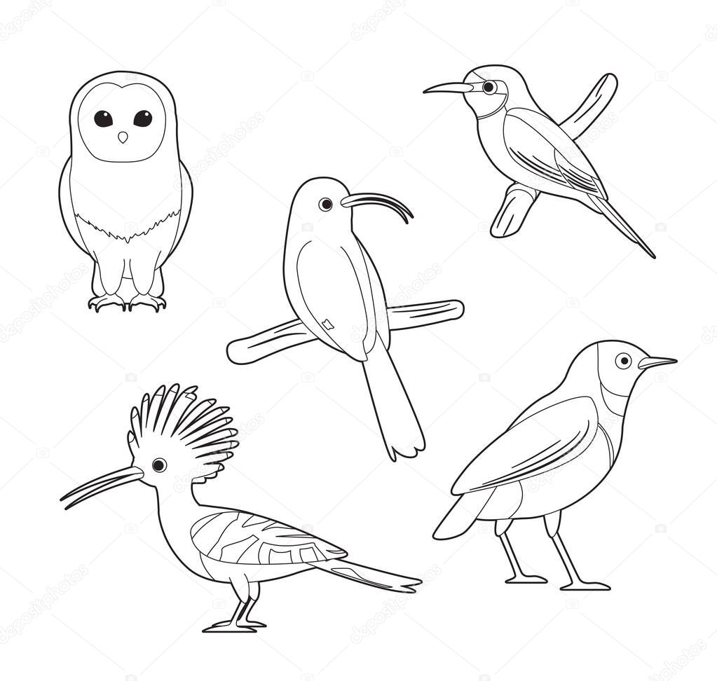 African Bird Coloring Book Owl Hoopoe Starling Bee-eater Cartoon Vector Set