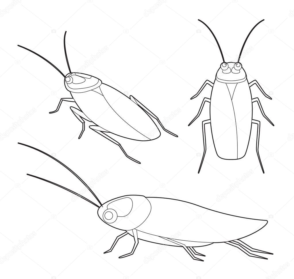 Insect Set Cute Cockroach Cartoon Vector Coloring Book