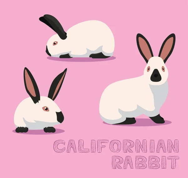 Ilustración Vectorial Dibujos Animados Conejo Californiano — Archivo Imágenes Vectoriales