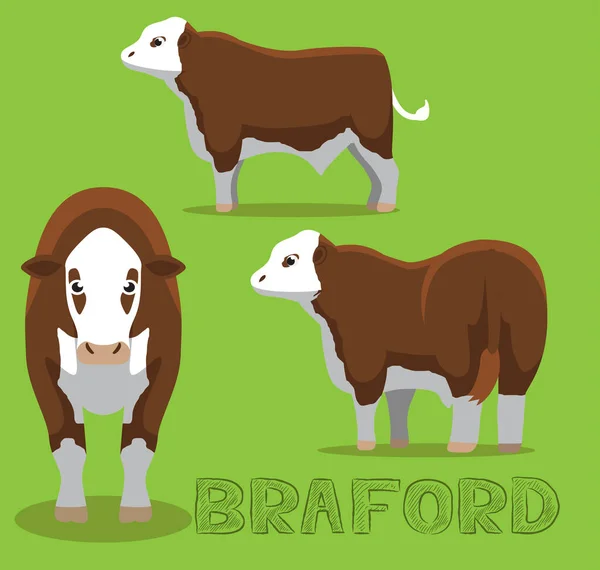 Vaca Braford Cartoon Vector Ilustração —  Vetores de Stock