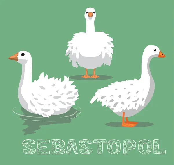 Ganso Doméstico Sebastopol Dibujos Animados Vector Ilustración — Vector de stock