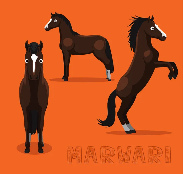 Horse Marwari卡通矢量图解 — 图库矢量图片