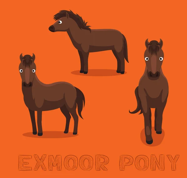 Caballo Exmoor Pony Dibujos Animados Vector Ilustración — Vector de stock