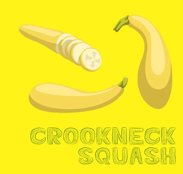 Gemüseart Crookneck Squash Vector Illustration — Stockvektor