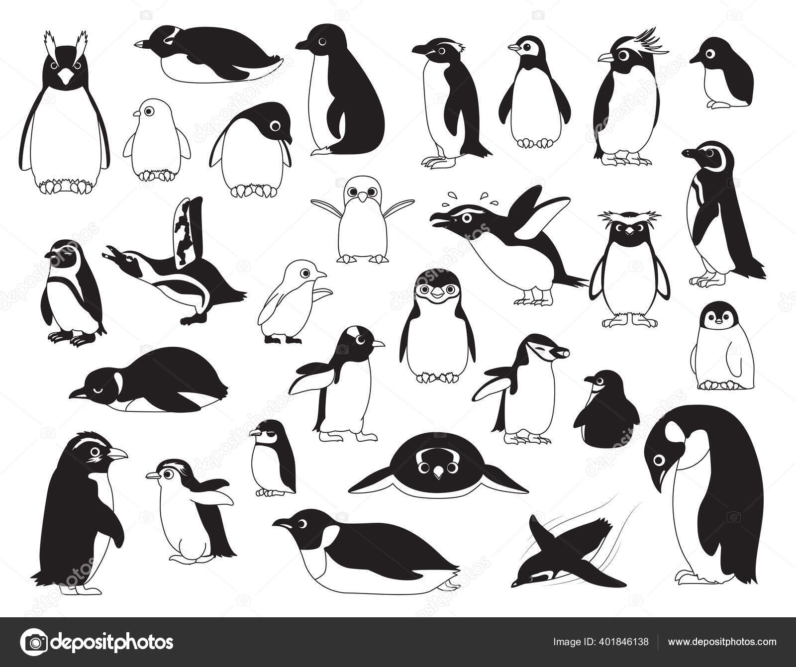 Cute Bird Various Penguin Black White Cartoon Set Illustration Stock Vector  Image by ©Punnawich #401846138