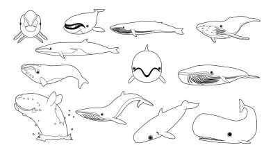 Şirin Balina Siyah ve Beyaz Çizgi Film Vektör İllüstrasyonu