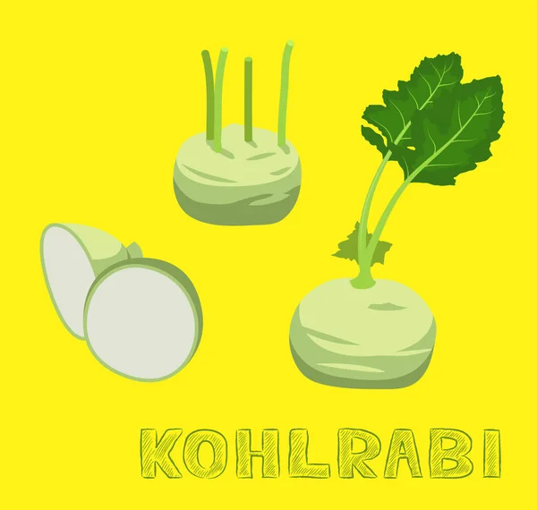 Gemüseart Kohlrabi Vektor Illustration — Stockvektor