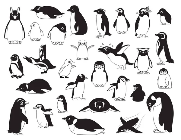 Söt Fågel Olika Pingvin Svart Och Vitt Tecknad Illustration — Stock vektor